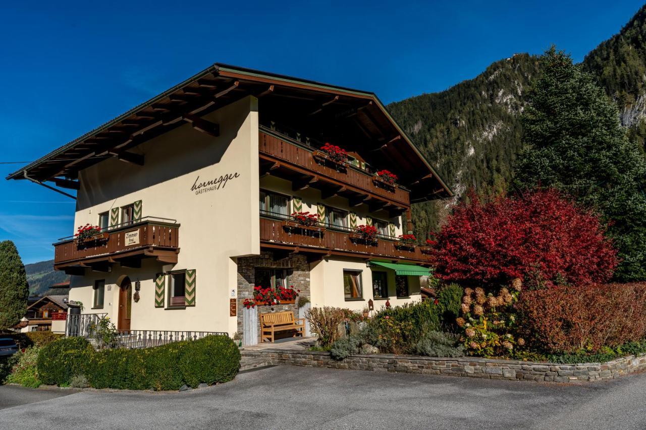 Gaestehaus Hornegger ไมย์อาโฮเฟิน ภายนอก รูปภาพ